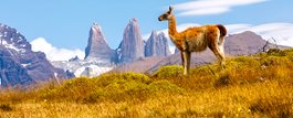 Patagonia In-Style (6 Day Program)