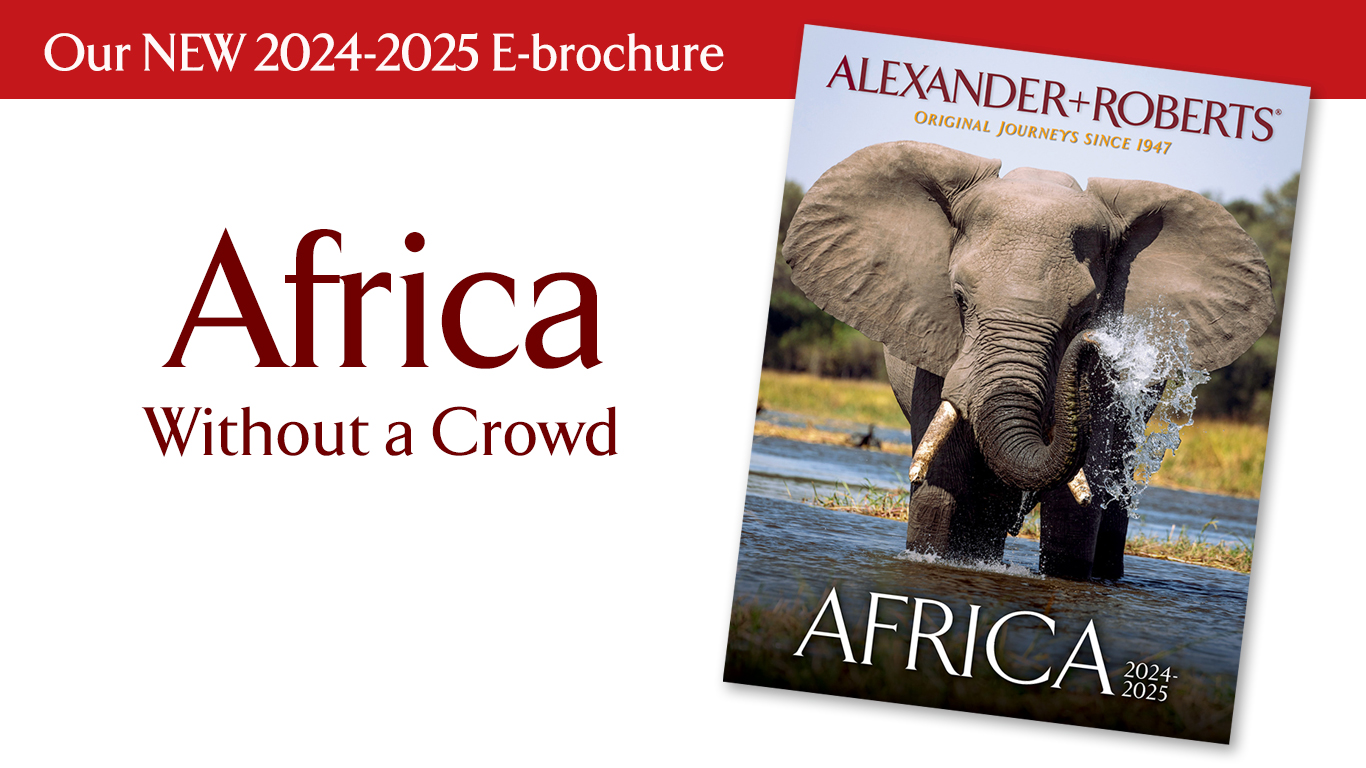 Over 20 African Safaris